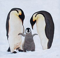 Dyrisk Palett - Pingviner Pris: Solgt